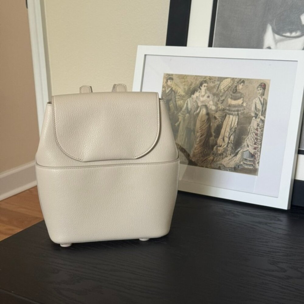 Cuyana Mini Backpack (reposh)